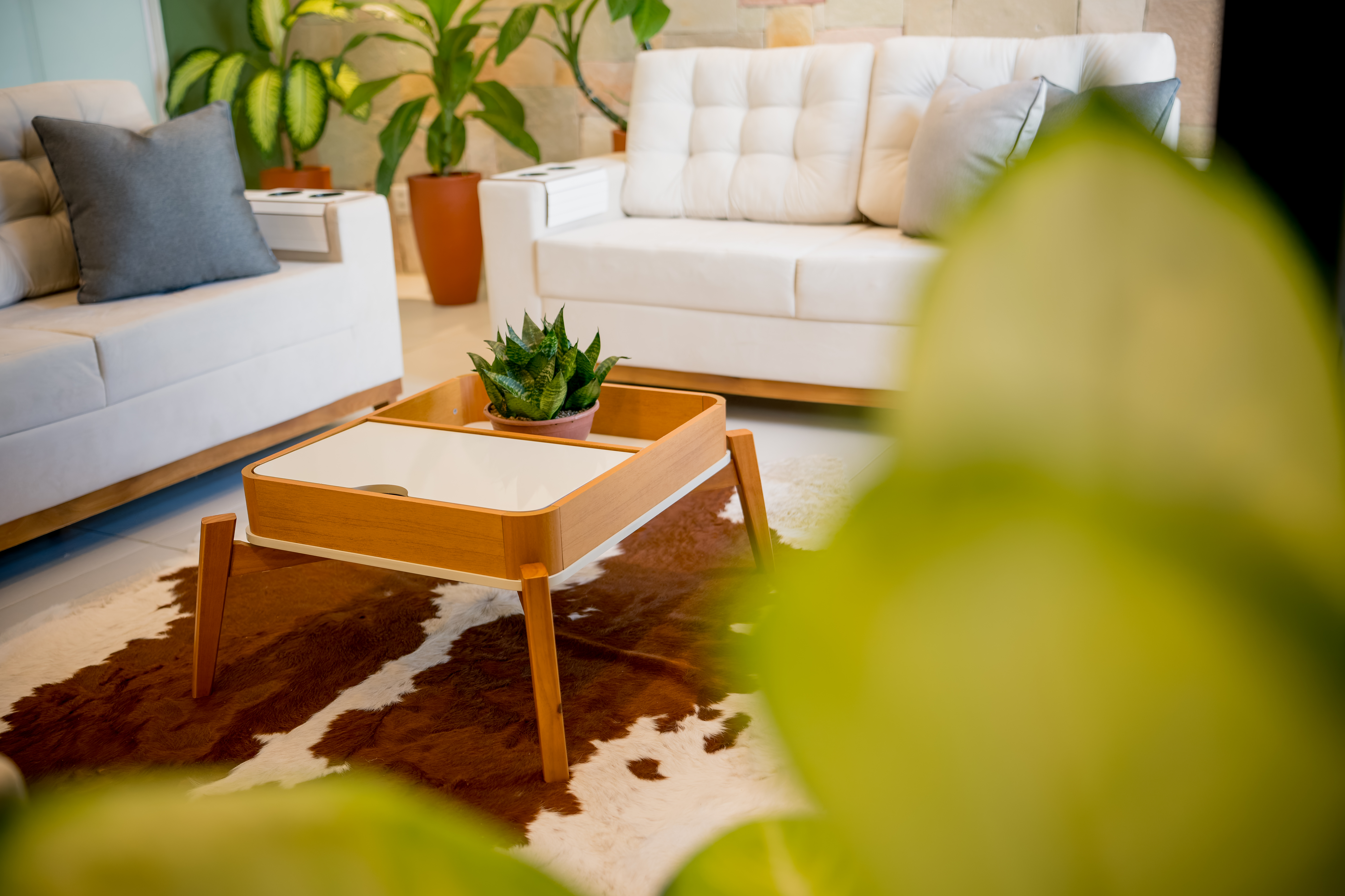 Living room coffee table