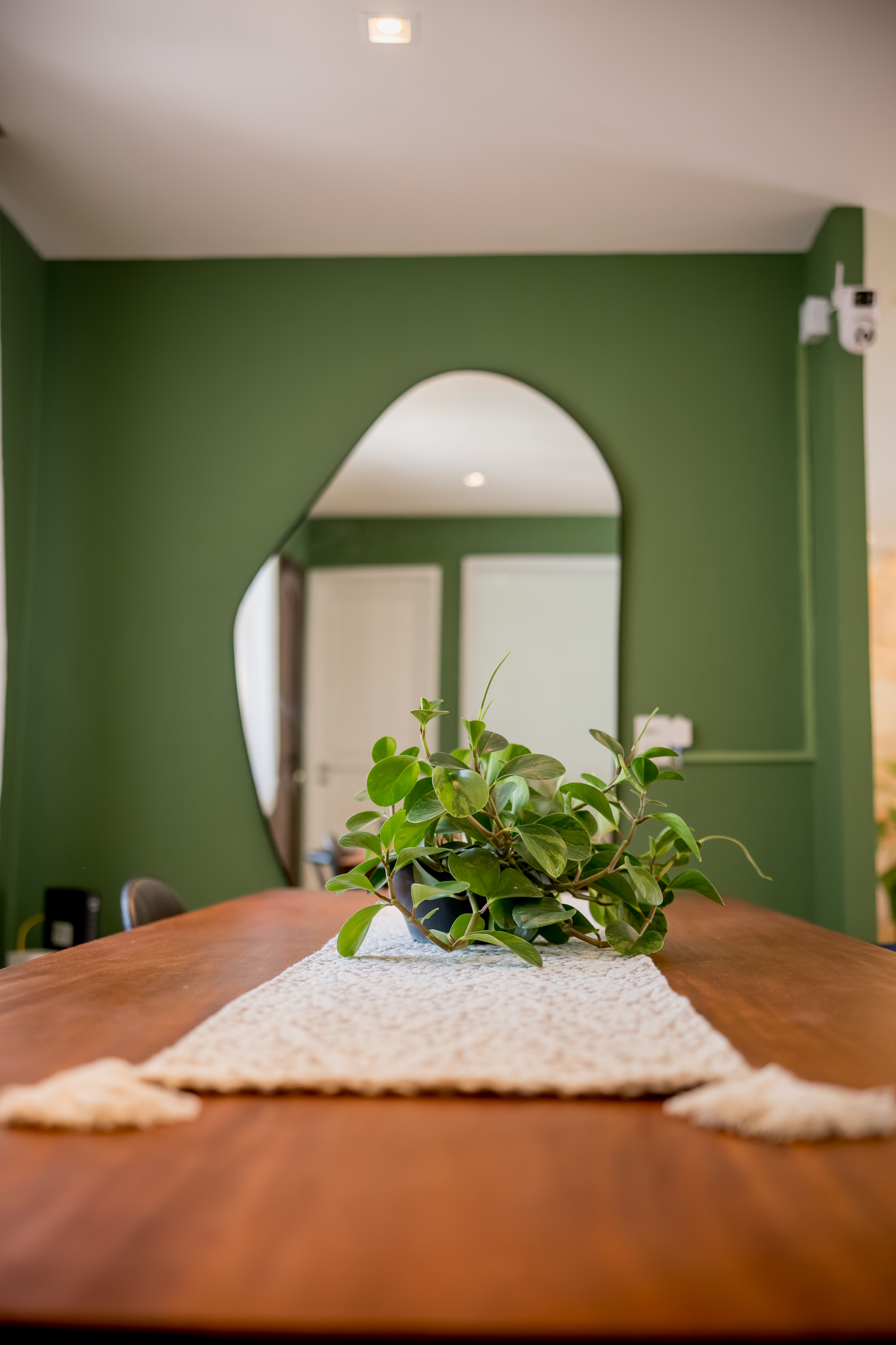 Dining room table with plant