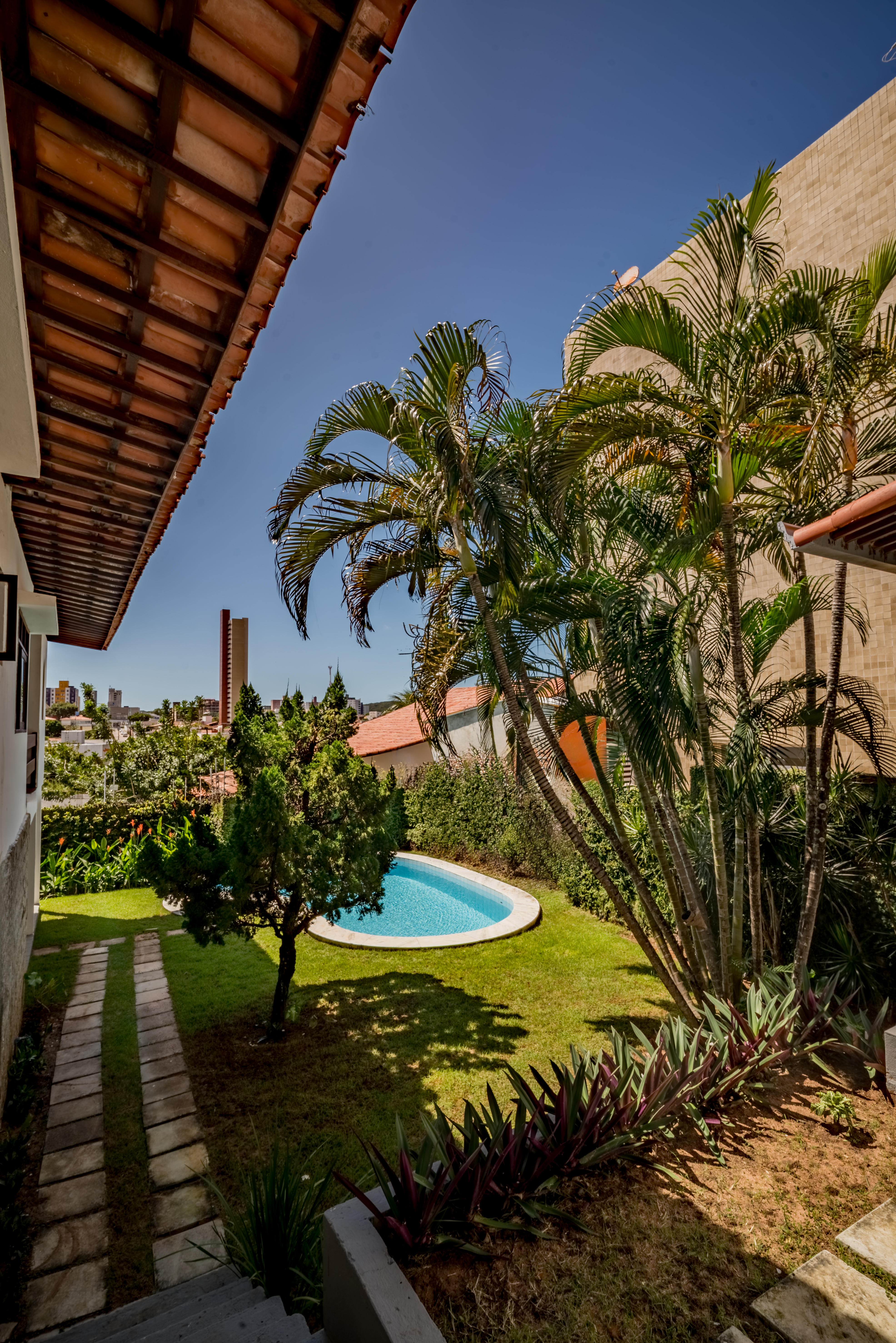 Garden with pool