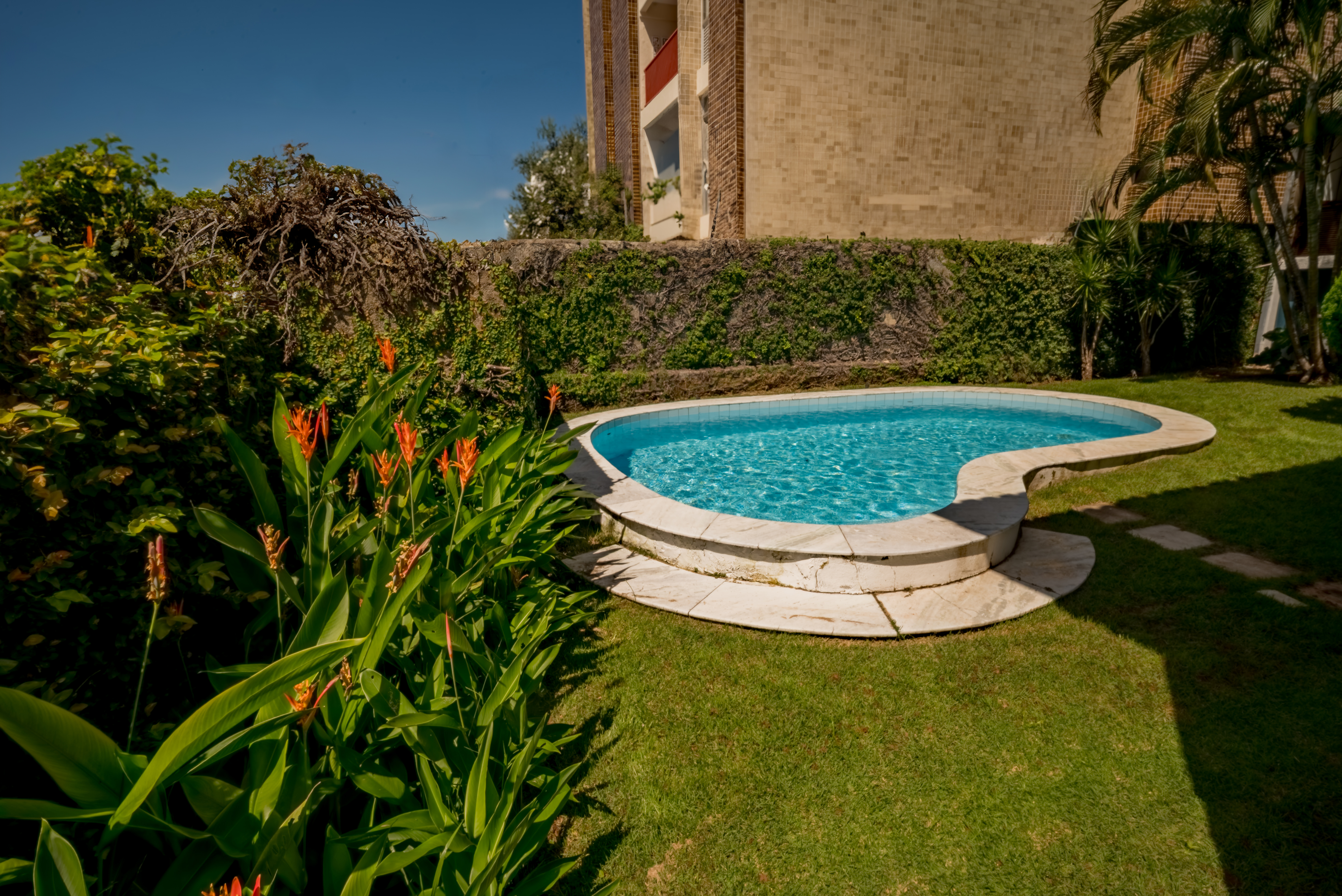 Pool area